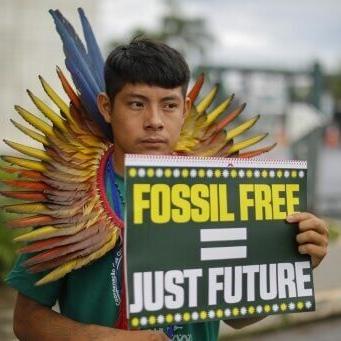 Brazil, India, Italy and Japan have vowed to dramatically increase production and consumption of renewable fuels ahead of the UN's planned climate summit in Belem, Brazil